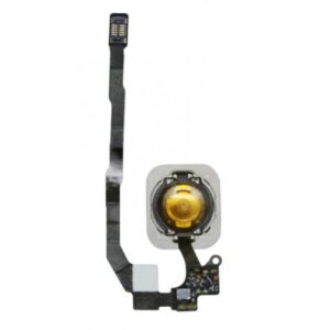Home Button Flex Cable(HBR) for Apple iPhone 5s - without outer button