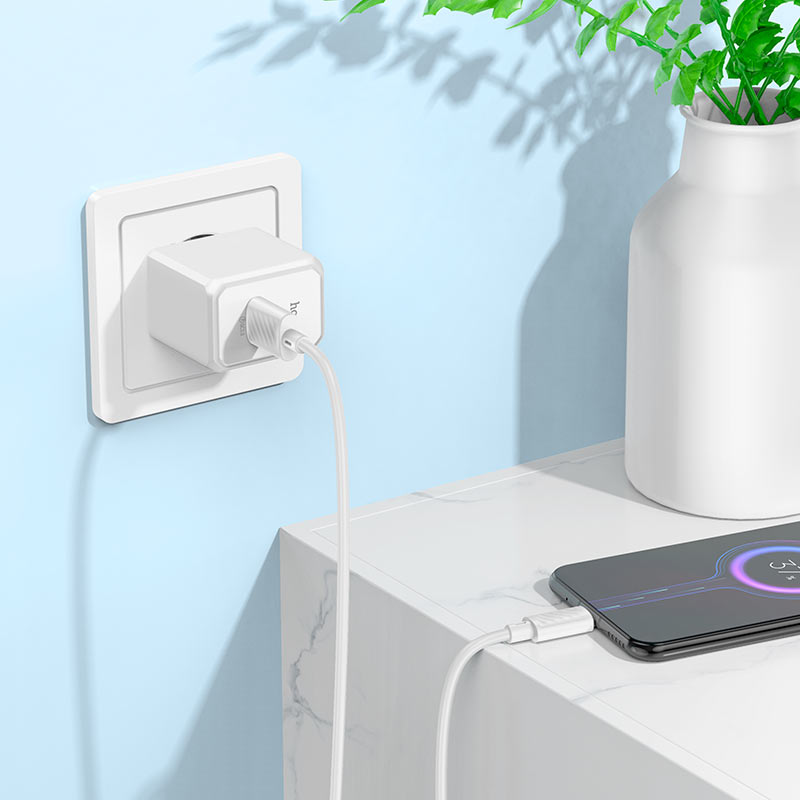 Travel Starter Kit : Wireless Earbuds, 18W Wall Charger, 10000mAh Powerbank,, Car Cigarette Charger - Image 10